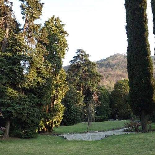 villa in bellagio morosini trees